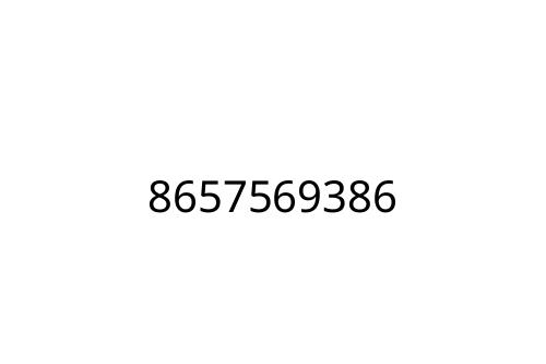 8657569386