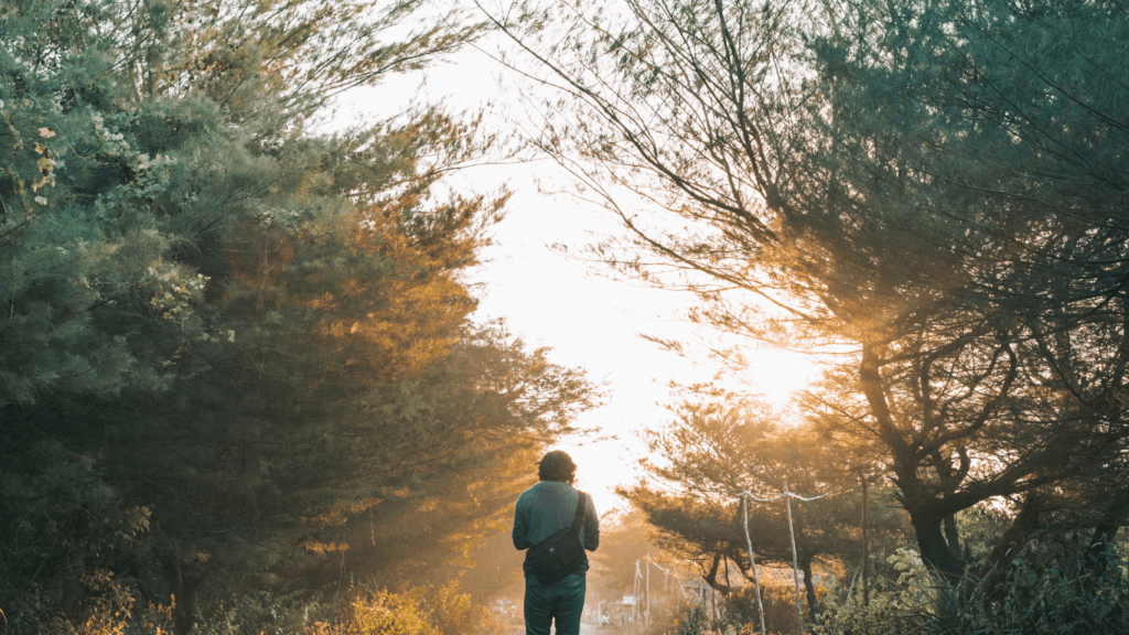 image of person walking