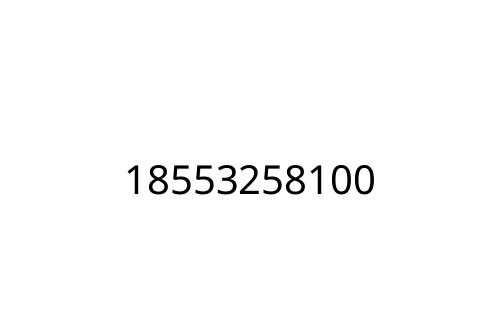 18553258100