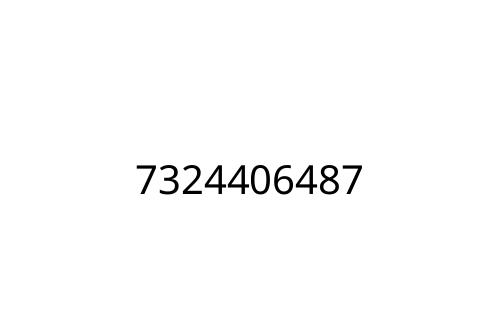 7324406487