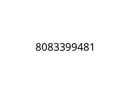 8083399481