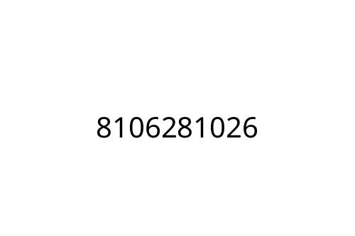 8106281026