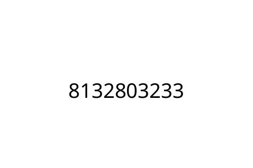8132803233