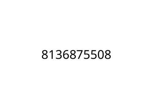 8136875508