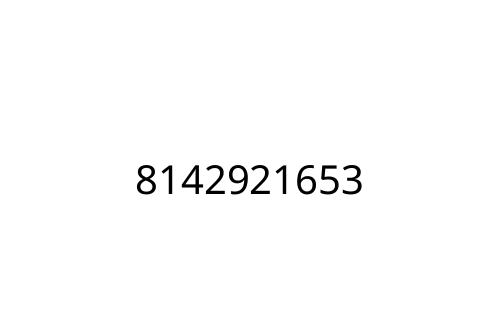 8142921653