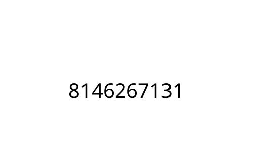 8146267131