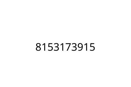 8153173915