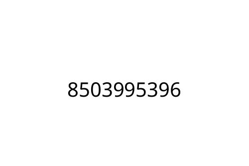 8503995396
