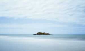 what should i serve with renkooki