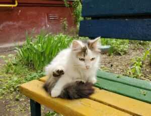 why biohunt2000 game are popular