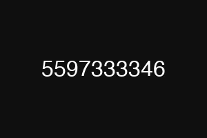 5597333346