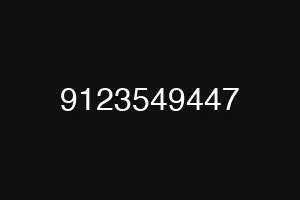 9123549447