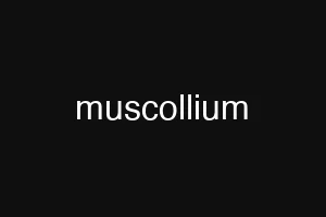 muscollium