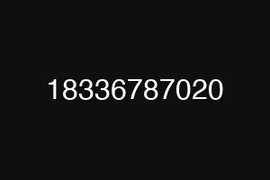 18336787020