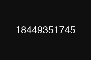 18449351745