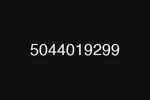 5044019299