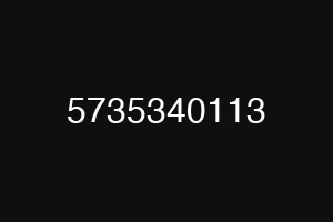 5735340113