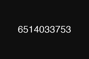6514033753