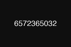6572365032