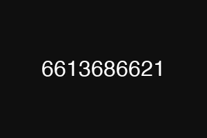 6613686621