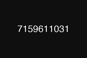 7159611031