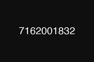 7162001832