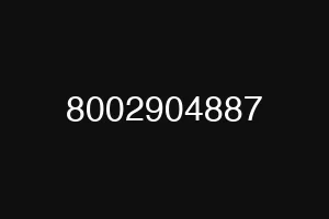 8002904887