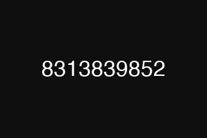 8313839852