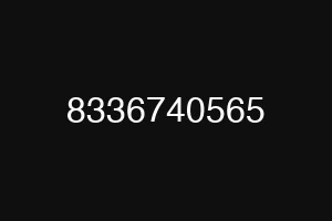 8336740565