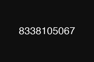 8338105067