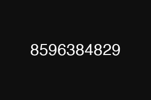 8596384829