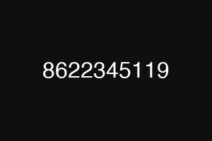 8622345119