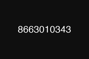 8663010343