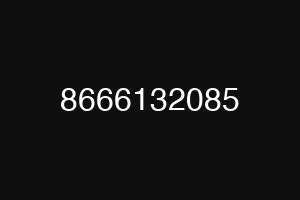 8666132085
