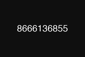 8666136855