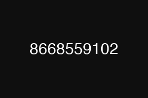 8668559102