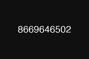 8669646502