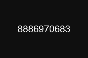 8886970683