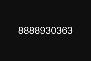 8888930363