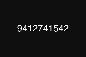 9412741542