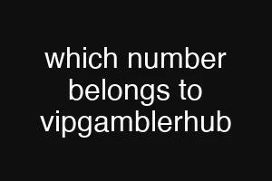 which number belongs to vipgamblerhub